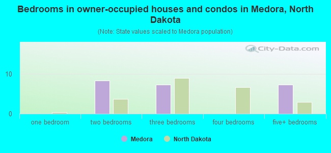 Bedrooms in owner-occupied houses and condos in Medora, North Dakota