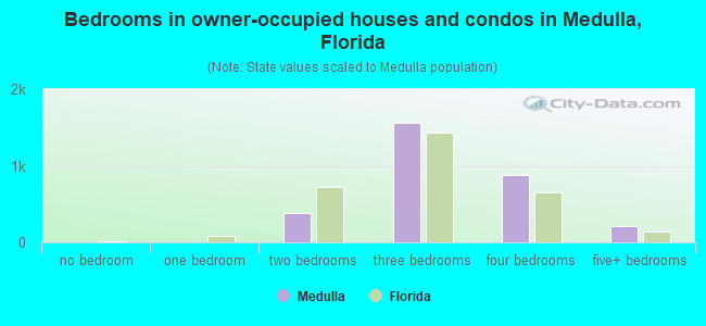 Bedrooms in owner-occupied houses and condos in Medulla, Florida