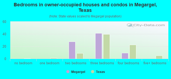 Bedrooms in owner-occupied houses and condos in Megargel, Texas