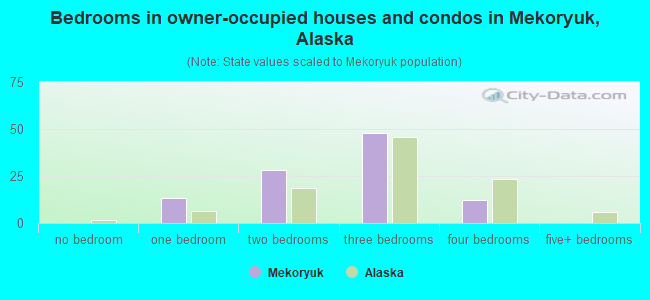 Bedrooms in owner-occupied houses and condos in Mekoryuk, Alaska