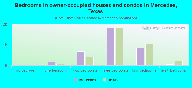 Bedrooms in owner-occupied houses and condos in Mercedes, Texas