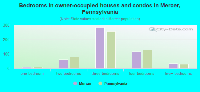 Bedrooms in owner-occupied houses and condos in Mercer, Pennsylvania