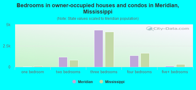 Bedrooms in owner-occupied houses and condos in Meridian, Mississippi