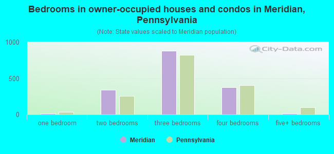 Bedrooms in owner-occupied houses and condos in Meridian, Pennsylvania