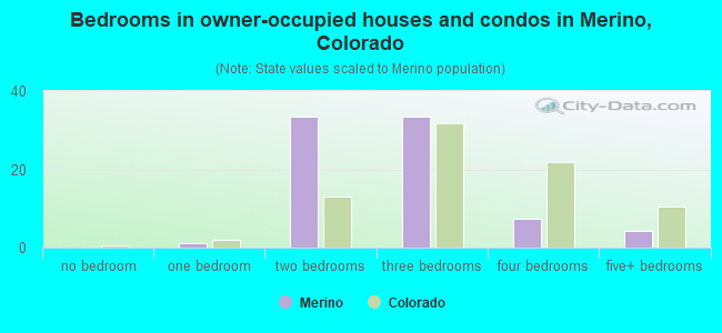Bedrooms in owner-occupied houses and condos in Merino, Colorado