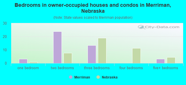 Bedrooms in owner-occupied houses and condos in Merriman, Nebraska