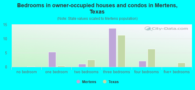 Bedrooms in owner-occupied houses and condos in Mertens, Texas