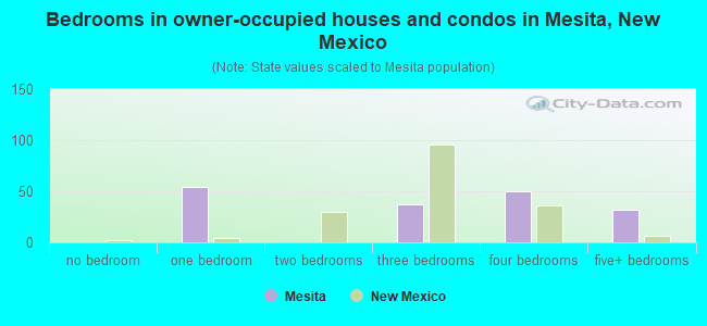 Bedrooms in owner-occupied houses and condos in Mesita, New Mexico