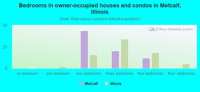 Bedrooms in owner-occupied houses and condos in Metcalf, Illinois