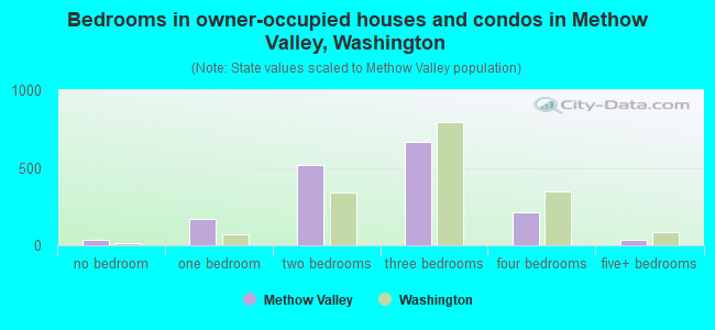 Bedrooms in owner-occupied houses and condos in Methow Valley, Washington
