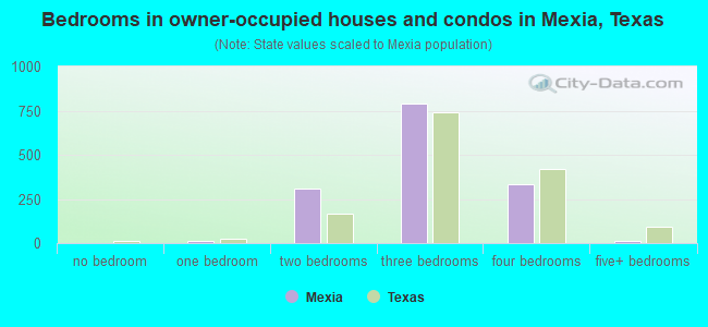 Bedrooms in owner-occupied houses and condos in Mexia, Texas