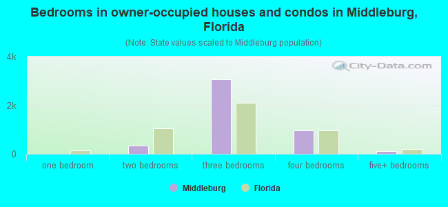 Bedrooms in owner-occupied houses and condos in Middleburg, Florida