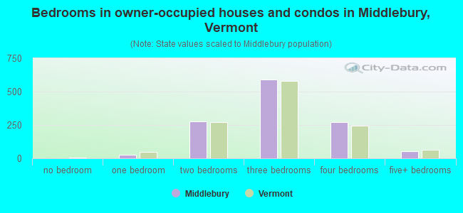 Bedrooms in owner-occupied houses and condos in Middlebury, Vermont