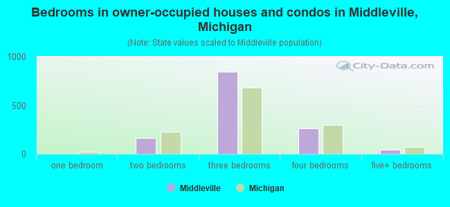 Bedrooms in owner-occupied houses and condos in Middleville, Michigan