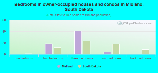 Bedrooms in owner-occupied houses and condos in Midland, South Dakota