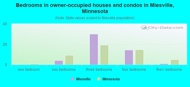 Bedrooms in owner-occupied houses and condos in Miesville, Minnesota