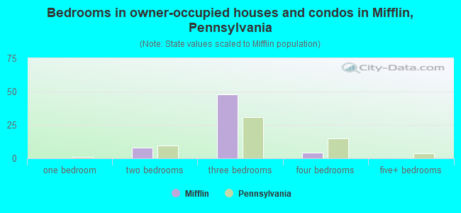 Bedrooms in owner-occupied houses and condos in Mifflin, Pennsylvania