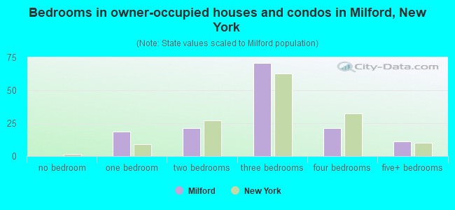 Bedrooms in owner-occupied houses and condos in Milford, New York