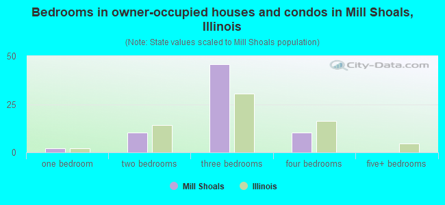 Bedrooms in owner-occupied houses and condos in Mill Shoals, Illinois