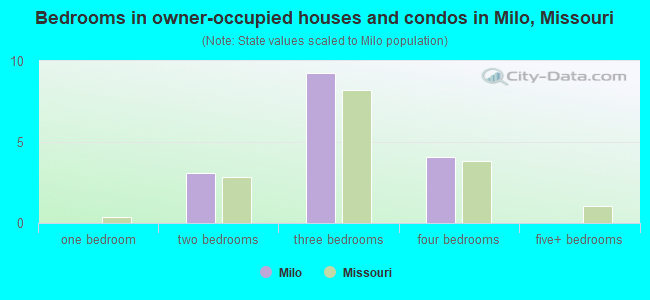 Bedrooms in owner-occupied houses and condos in Milo, Missouri