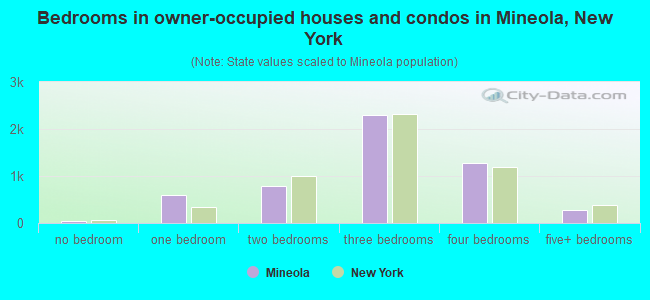 Bedrooms in owner-occupied houses and condos in Mineola, New York