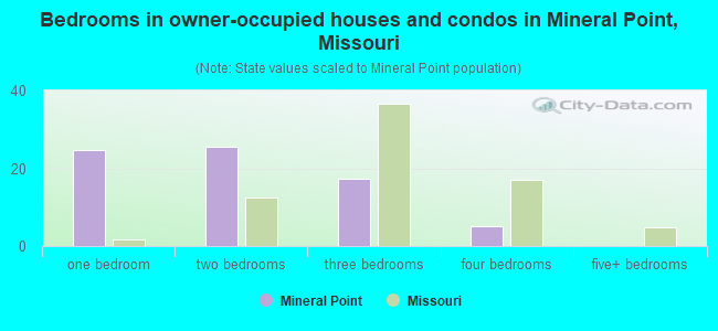 Bedrooms in owner-occupied houses and condos in Mineral Point, Missouri