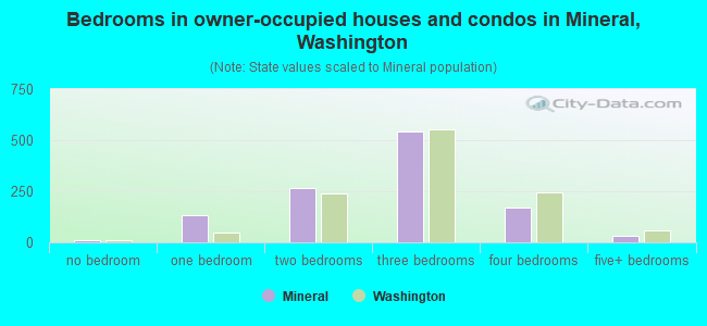 Bedrooms in owner-occupied houses and condos in Mineral, Washington