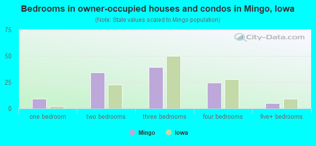 Bedrooms in owner-occupied houses and condos in Mingo, Iowa