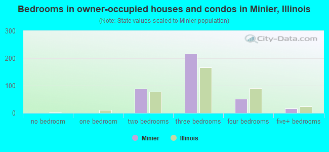 Bedrooms in owner-occupied houses and condos in Minier, Illinois