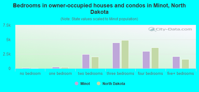 Bedrooms in owner-occupied houses and condos in Minot, North Dakota
