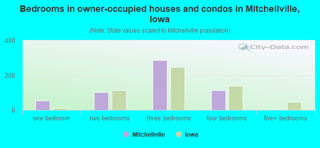 Bedrooms in owner-occupied houses and condos in Mitchellville, Iowa