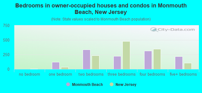 Bedrooms in owner-occupied houses and condos in Monmouth Beach, New Jersey