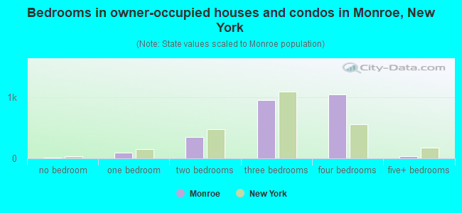 Bedrooms in owner-occupied houses and condos in Monroe, New York