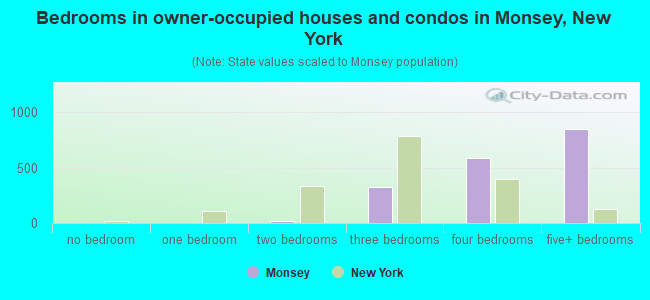 Bedrooms in owner-occupied houses and condos in Monsey, New York