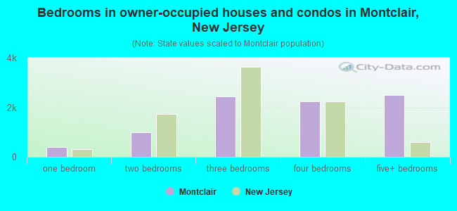 Bedrooms in owner-occupied houses and condos in Montclair, New Jersey