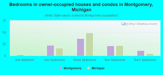 Bedrooms in owner-occupied houses and condos in Montgomery, Michigan