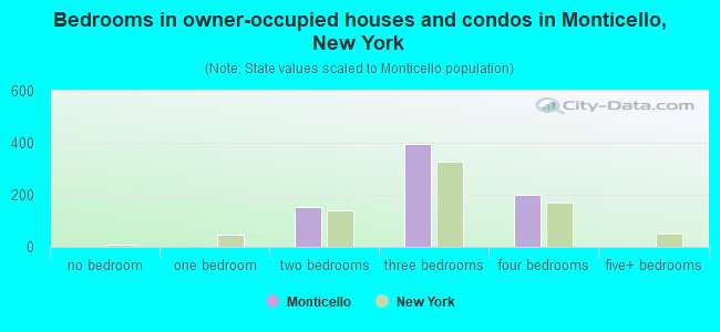 Bedrooms in owner-occupied houses and condos in Monticello, New York