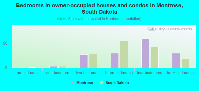 Bedrooms in owner-occupied houses and condos in Montrose, South Dakota