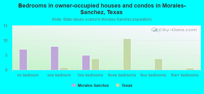 Bedrooms in owner-occupied houses and condos in Morales-Sanchez, Texas