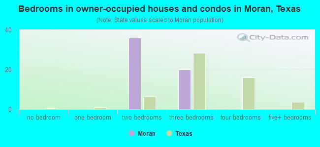 Bedrooms in owner-occupied houses and condos in Moran, Texas