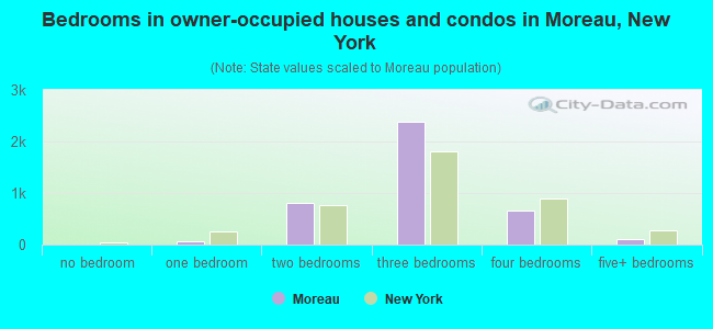 Bedrooms in owner-occupied houses and condos in Moreau, New York