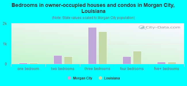 Bedrooms in owner-occupied houses and condos in Morgan City, Louisiana