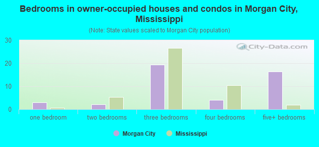 Bedrooms in owner-occupied houses and condos in Morgan City, Mississippi