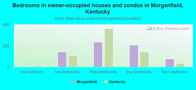 Bedrooms in owner-occupied houses and condos in Morganfield, Kentucky