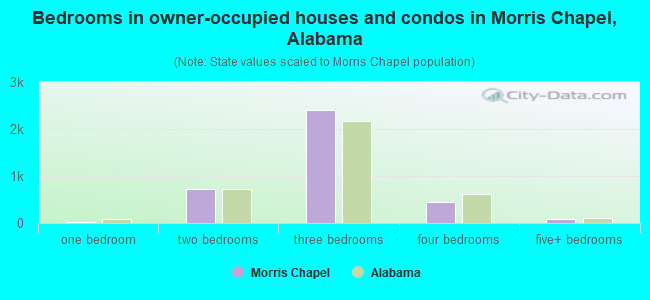 Bedrooms in owner-occupied houses and condos in Morris Chapel, Alabama