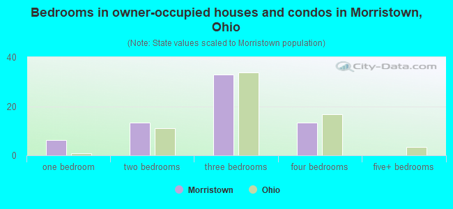 Bedrooms in owner-occupied houses and condos in Morristown, Ohio