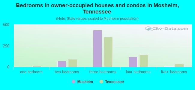Bedrooms in owner-occupied houses and condos in Mosheim, Tennessee