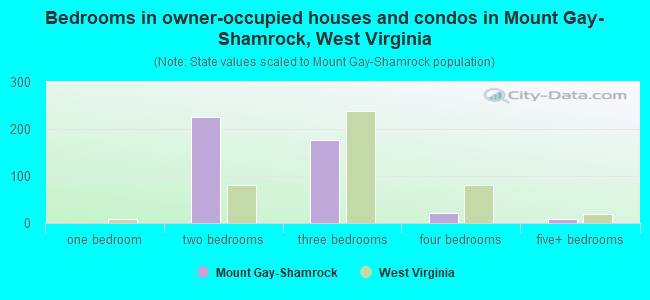 Bedrooms in owner-occupied houses and condos in Mount Gay-Shamrock, West Virginia
