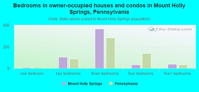 Bedrooms in owner-occupied houses and condos in Mount Holly Springs, Pennsylvania