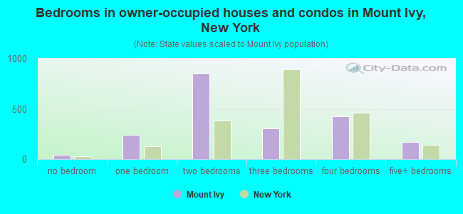 Bedrooms in owner-occupied houses and condos in Mount Ivy, New York